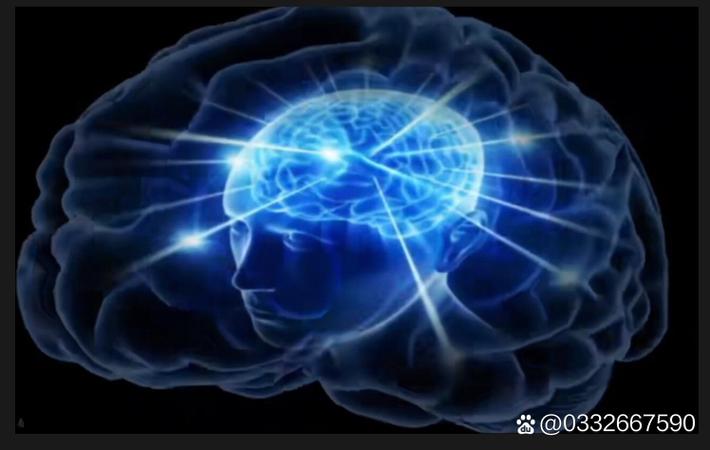 被全网黑的艺人其实一直在默默做公益，真相令人泪目